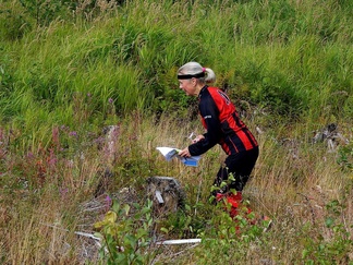 Aukealla vihreän taustan edessä oli välillä punaista,...