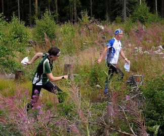 ...melko pitkin askelin,