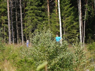 Siellä se RR5 jossain on...