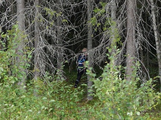 ...ja välillä käytiin ketunlenkki jossain vähän jännässä paikassa...