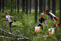 "Siinä olikin nauha!"