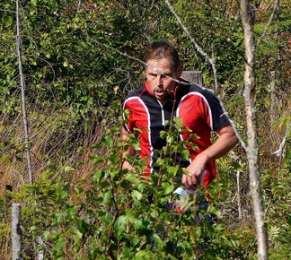 Tuima ilme saattaa auttaa loppuviitoituksella...