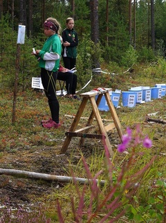 ...ja mallikartta tarkistettiin nuorena...