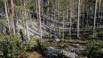 Tänne lauantaina...